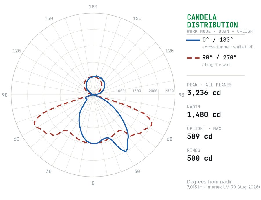 Work Mode candela distribution polar plot from Intertek LM-79 photometry